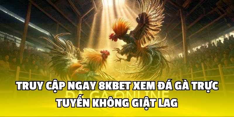 Truy cập ngay 8KBET xem đá gà trực tuyến không giật lag